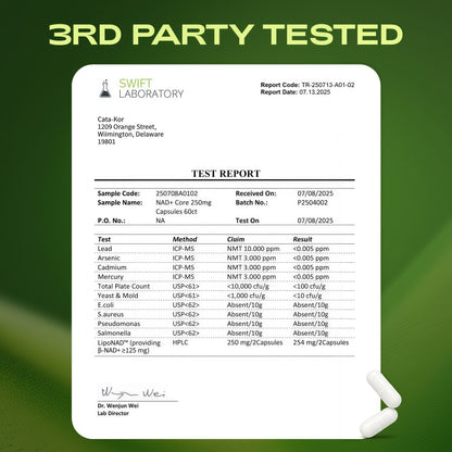 NMN Supplement Alternative – Liposomal NAD+ Supplement – Third-Party Tested – NAD CORE – 30-Day Supply – 60 Capsules